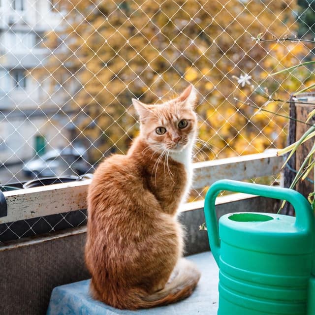 Detalle de Lovesmile Katzenschutznetz 3x10 m Vogelschutznetz, engmaschig (Maschenweite 2,5 x 2,5 cm), reißfest & wiederverwendbar, ohne Bohren (weiß)