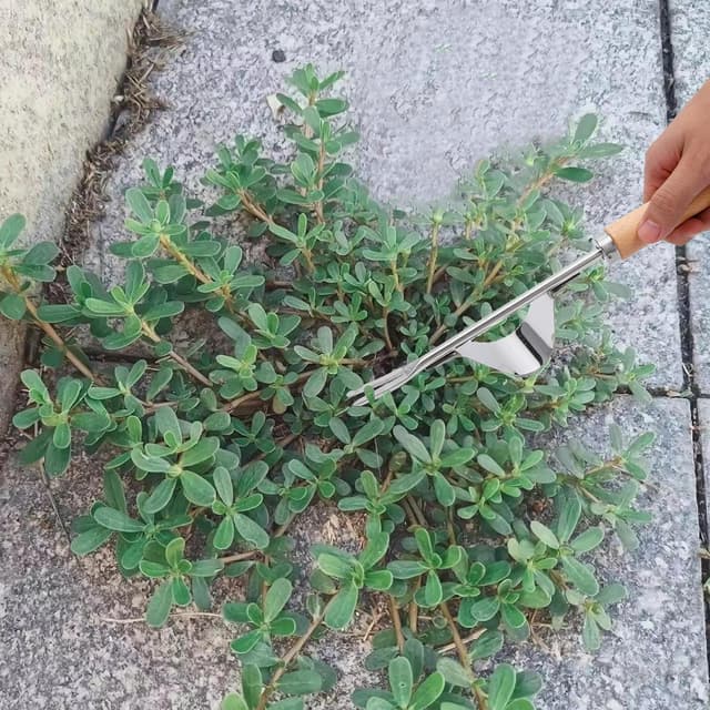 Detalle 2 de Yizerel hand weed puller tool 2 pack