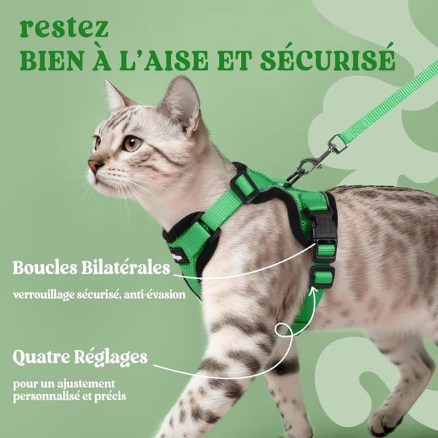 Detalle 2 de rabbitgoo Harnais chat anti-évasion avec laisse et gilet réfléchissant, réglable XS (vert herbe)