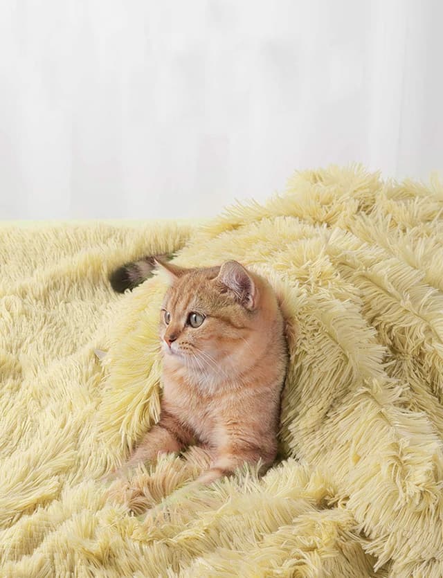 Detalle 2 de CHMMY couverture en peluche double face pour chien et chat, lavable – Beige (taille S 56×36 cm)