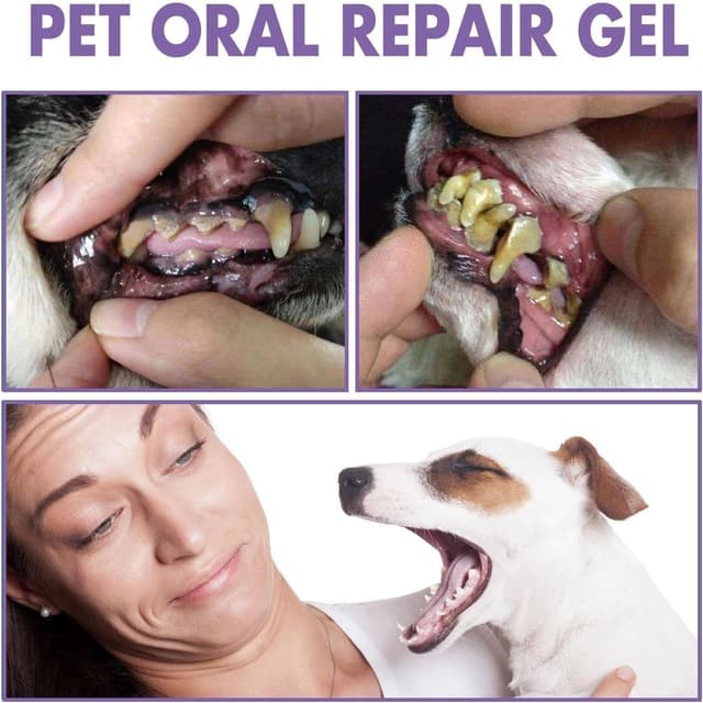 Thumbnail 1 de 4‑Piece Dog Teeth Cleaning Kit