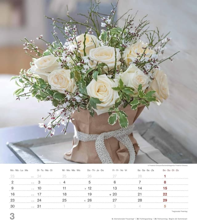 Detalle 1 de Alpha Edition Rosen Kalender 2026 Bildkalender