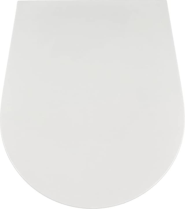 Thumbnail 4 de Jacob Delafon Rodin+ E23280 asiento extra‑plano
descenso progresivo desmontable blanco 🚽