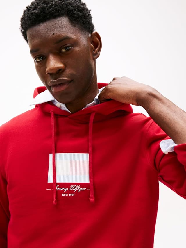 Detalle de Tommy Hilfiger Sweat à capuche homme Ithaca Flag en coton