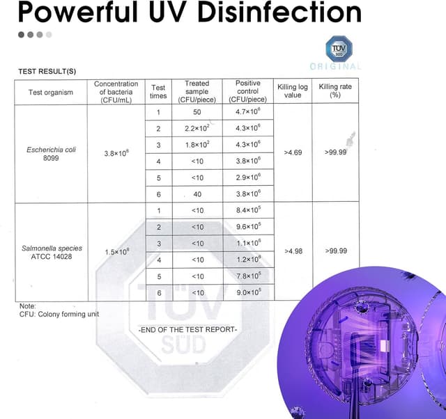 Thumbnail 2 de iHave Toothbrush Sanitizer and Holder 2-month standby