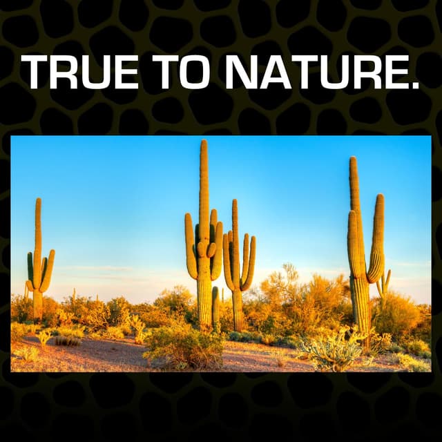 Thumbnail 1 de Exo Terra Desert Sand 4.5 Kg reptile substrate 🐍