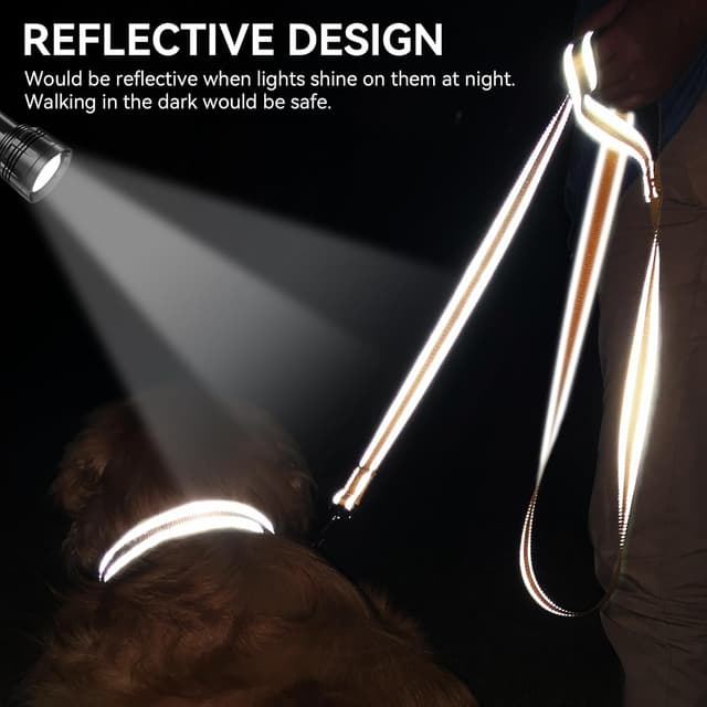 Detalle 2 de Joytale reflective dog leash 5 ft
