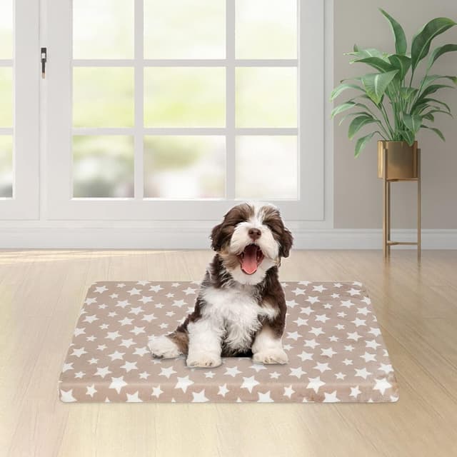 Thumbnail 4 de EMPSIGN Cuscino Cani Taglia Piccolo 61x46x6,6 cm