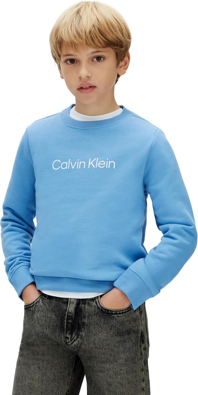 Detalle de Felpa Calvin Klein Inst. Logo Regular