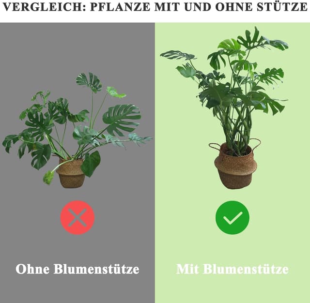 Thumbnail 2 de Metall Ringkäfige 3er-Set 40x25 cm Pflanzensupport