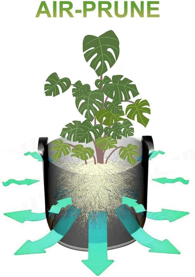 Thumbnail 3 de SIMBOOM Sacchetti per coltivazione 7 Galloni