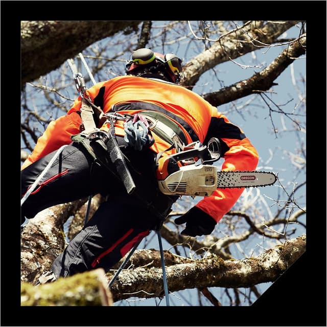 Thumbnail 6 de Oregon SpeedCut Nano: Kit de Optimización para Motosierra