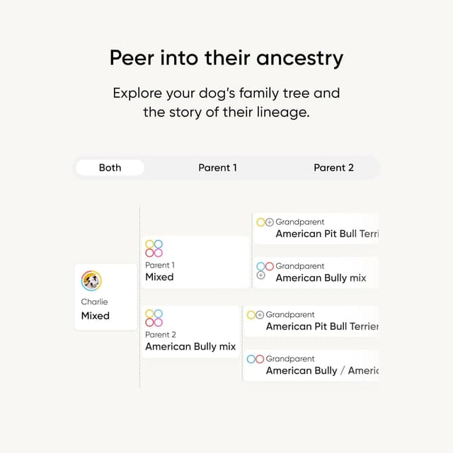 Thumbnail 3 de Embark Breed Identification Kit 99% accuracy