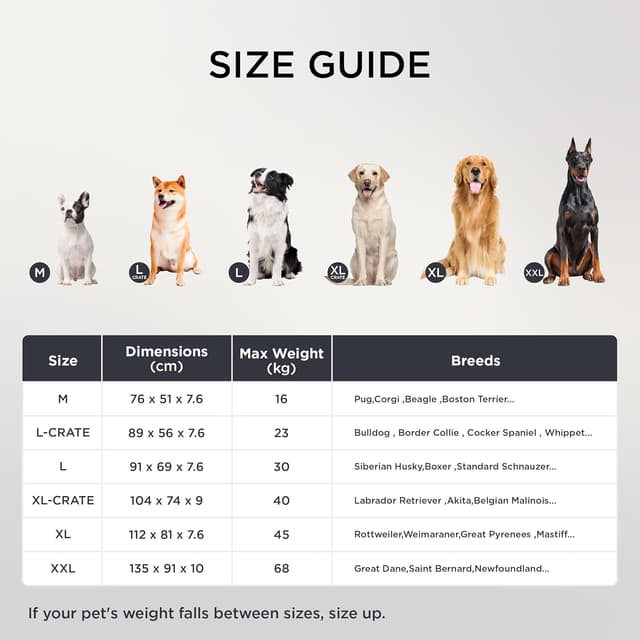 Thumbnail 6 de BEDSURE orthopädisches Hundebett 112×81×7,6 cm