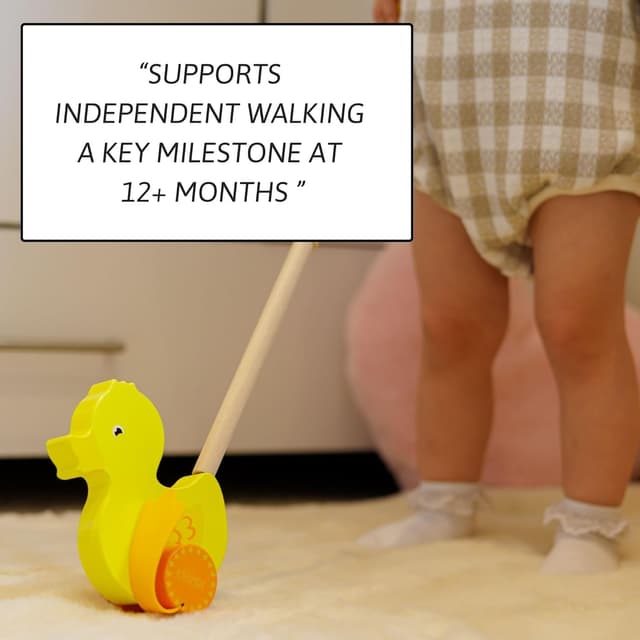 Detalle de Jaques of London Waddles the Duck Wooden Push Along Toy (12 months+) for first steps
