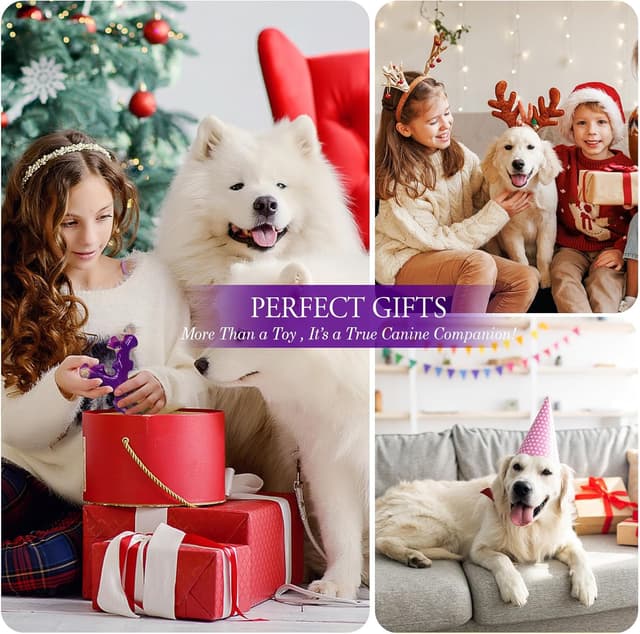 Thumbnail 5 de ChienBox Juguete Perro Indestructible 3 piezas