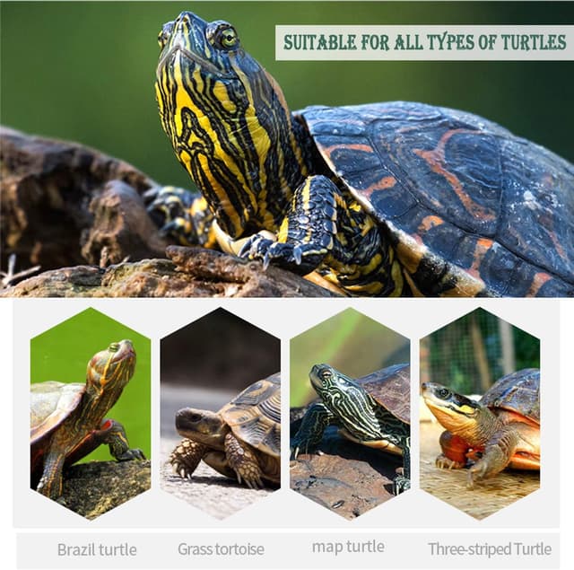 Thumbnail 1 de BPS BPS-4133 Bloc de calcium 2 pcs 🐢