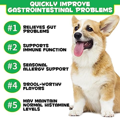 Thumbnail 3 de PLOBRT Probióticos 120 masticables para perros