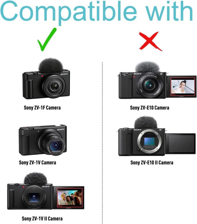 Detalle de XANAD hard case for ZV-E10 6400