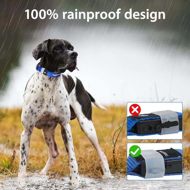 Detalle de MASBRILL Light Up Dog Collar with USB Rechargeable LED Lights (3 Modes, Waterproof, Adjustable)