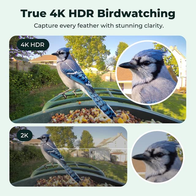 Detalle 2 de Beako Smart Bird Feeder 4K Camera