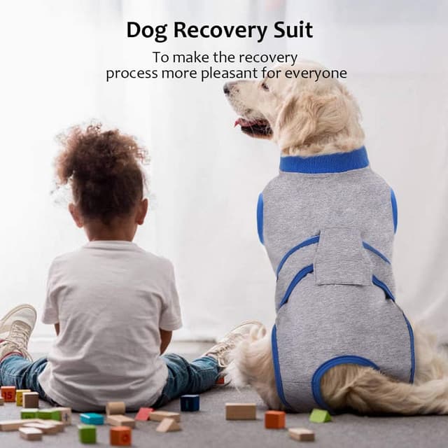 Thumbnail 6 de Kuoser Dog Surgery Recovery Suit (Grey) – soft dog recovery onesie as an e-collar alternative