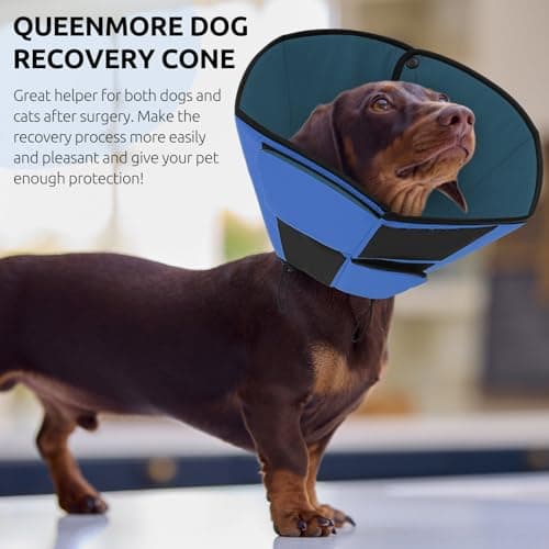 Thumbnail 5 de Queenmore Soft Dog Cone for Medium M