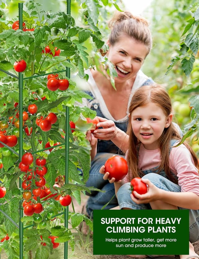 Thumbnail 6 de MQJIAZHI 6 Pack Tomato Cage for Garden with Height Adjustable Stakes (Extra Bold) up to 51.2in