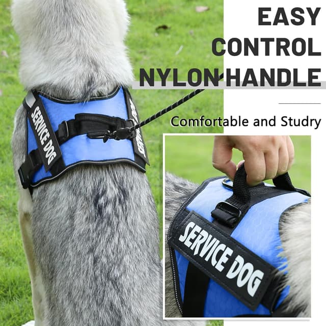 Detalle de Belababy Soft No Pull Dog Harness Medium (Blue) with reflective, anti-escape strap and service patches