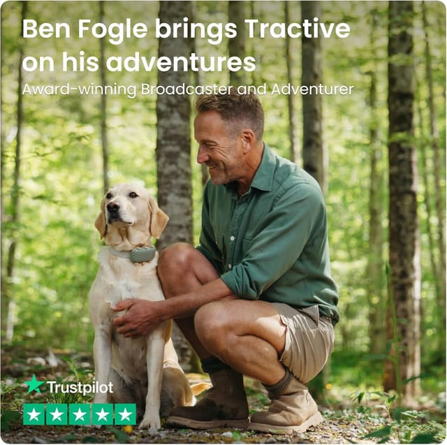 Detalle de Tractive XL GPS dog tracker, up to 1 month