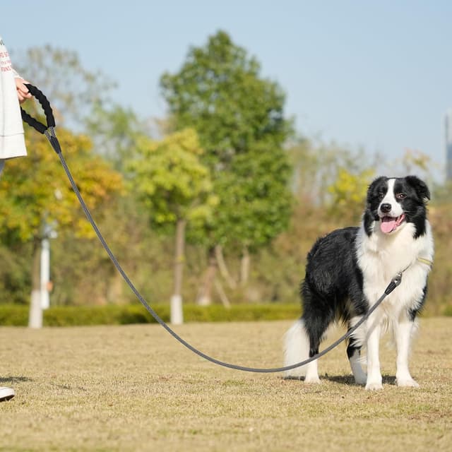 Thumbnail 5 de Kdsvakd Training Lead for Dogs 10M ๐