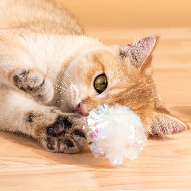 Thumbnail 5 de Katzenspielzeug Ball Set 12 Stück