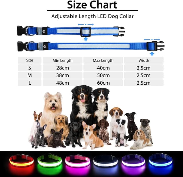 Detalle 2 de PcEoTllar Light Up Rechargeable Dog Collar (Blue, 9 Modes) – Waterproof LED for Small to Large Dogs