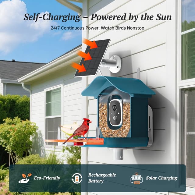 Detalle 2 de DOCOON 2K Bird Feeder Camera