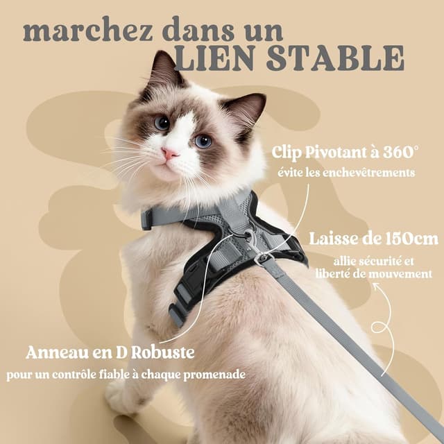 Thumbnail 4 de rabbitgoo Harnais Chat XS rĂ©glable 34,3 cm đŸ