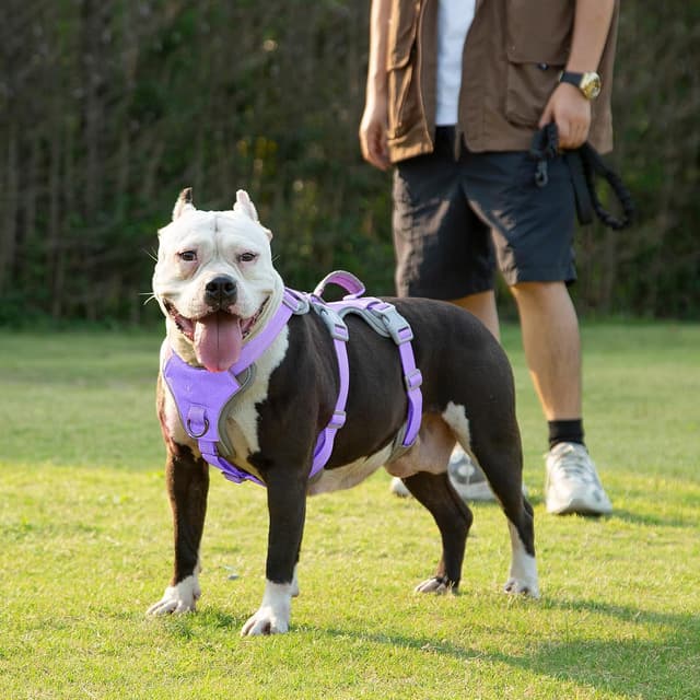 Thumbnail 6 de Huntboo No Escape Dog Harness Lavender M