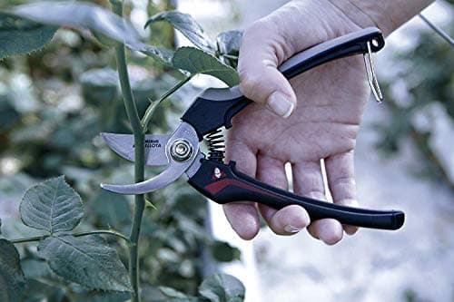 Thumbnail 5 de Bellota 3628 INOX-CE MB Tijera Recolectora 🧰