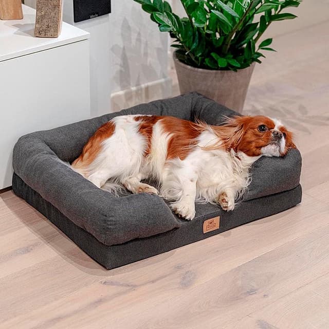 Detalle de Ferplast Orthopädisches Hundebett MEMOR-ONE mit Memory Foam, Grau – 64 x 52 x 16,5 cm