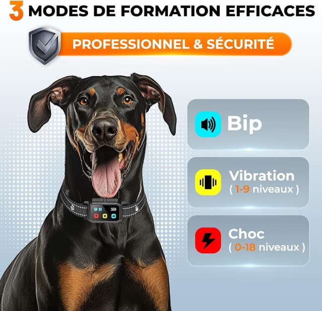 Thumbnail 1 de Collier de dressage 3000 m