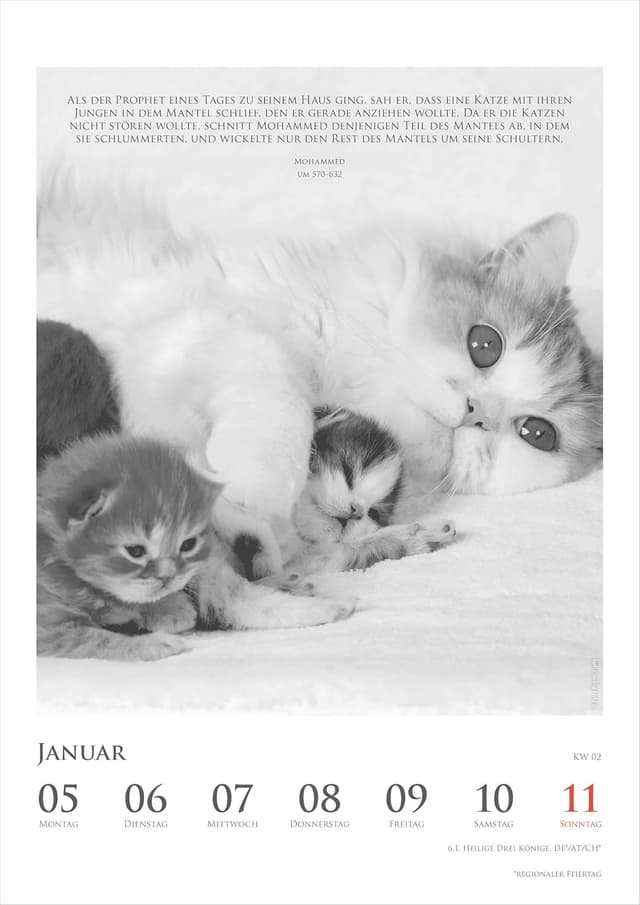 Thumbnail 2 de Alpha Edition Katzenkalender 2026 Wochenkalender