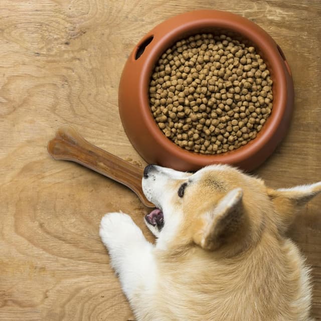 Thumbnail 6 de Nobleza Osso pressato 15 cm