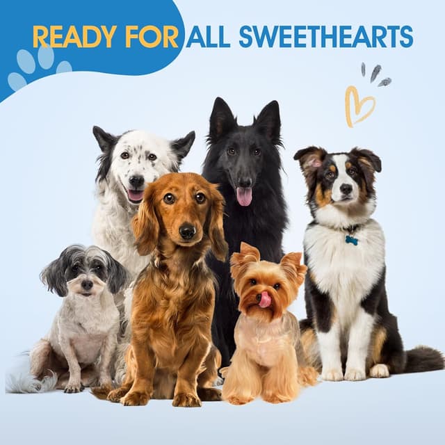 Thumbnail 6 de Set di forbici professionali JASON 6 in 1 per toelettatura cane e gatto, oro rosa