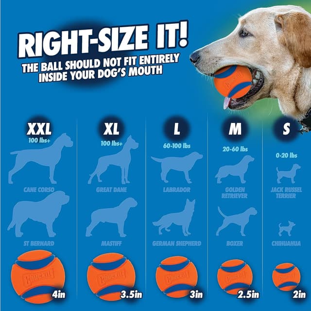 Thumbnail 6 de Chuckit CU247301 lanceur de balle 26