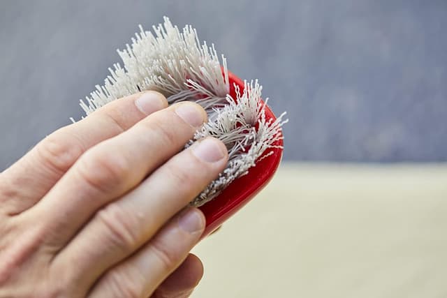 Thumbnail 5 de Mothers Stiff Bristle Cleaning Brush for Carpets