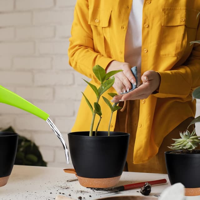 Thumbnail 5 de CSYY Plant Pots Indoor 7Pack