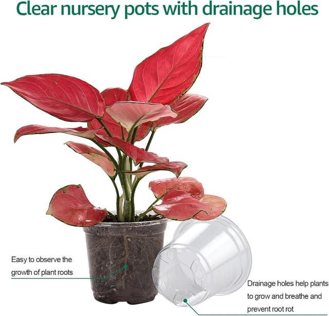 Detalle 2 de Bluepro 30-Pack 4-Inch Clear Nursery Pots with Humidity Dome for Seed Starting