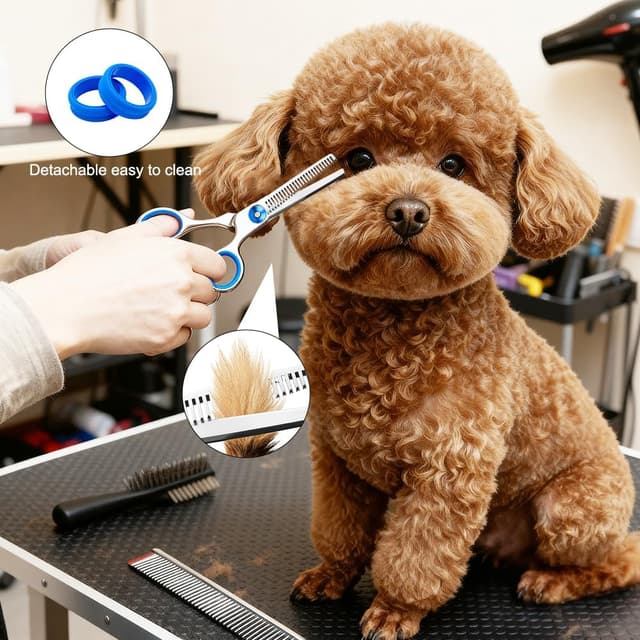 Thumbnail 6 de AYBUY Kit Forbici Toelettatura 2 Pezzi ✂