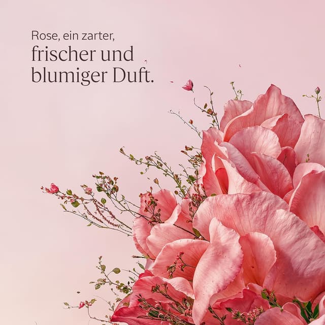 Detalle de L’Occitane Eau de Toilette Rose (Rose-Duft) – 50 ml