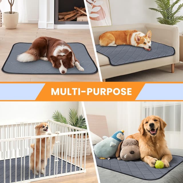 Thumbnail 6 de Nobleza Éducateur 90×80 cm