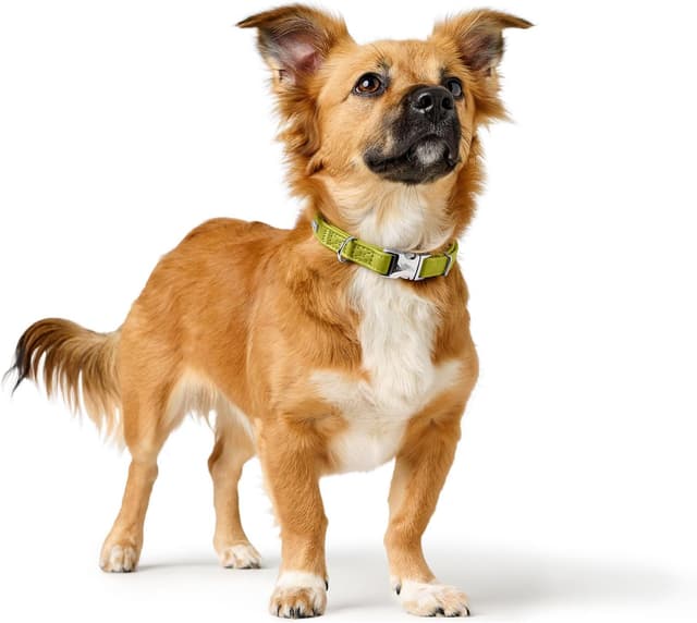 Detalle de HUNTER Hundehalsung Amalfi ALU-Strong (grün) – vegan, stufenlos verstellbar, mit Alu-Strong Verschluss, Made in Germany